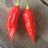 Scorpion X Bhut Jolokia DX "SL" Seeds