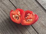 DR Piment DRP 05 Butch-T X Cherry